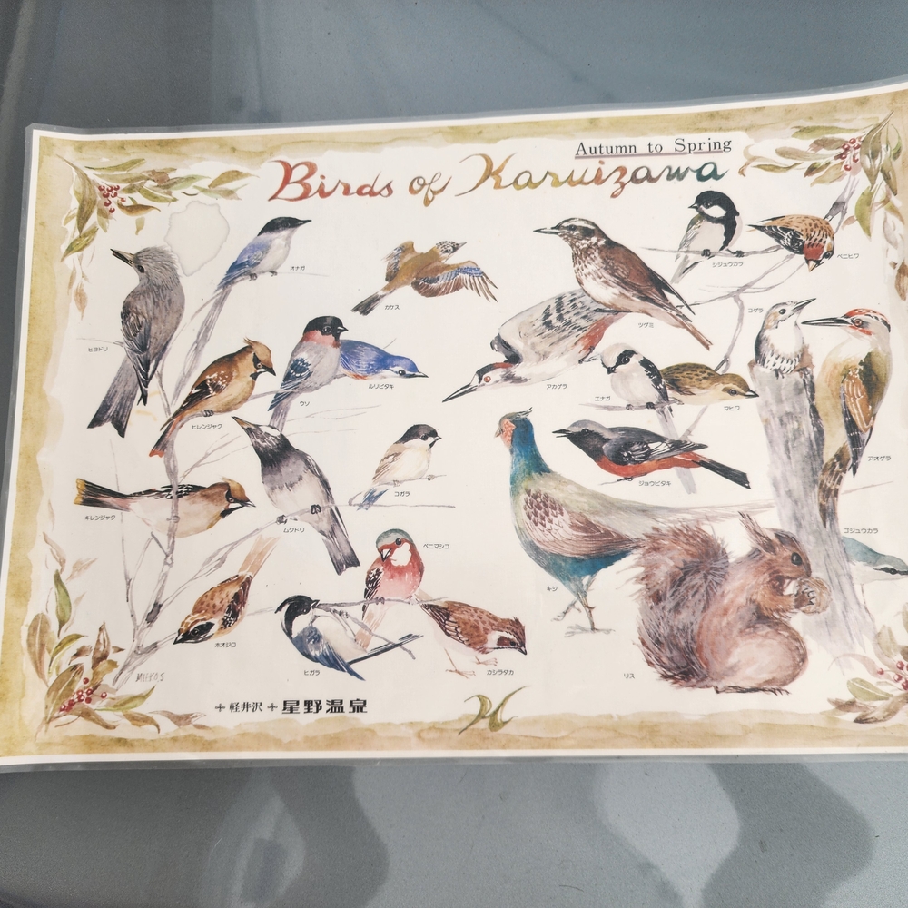 Birds of Karuizawa Vintage Poster
